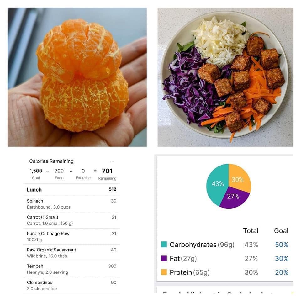 meal1 meal1